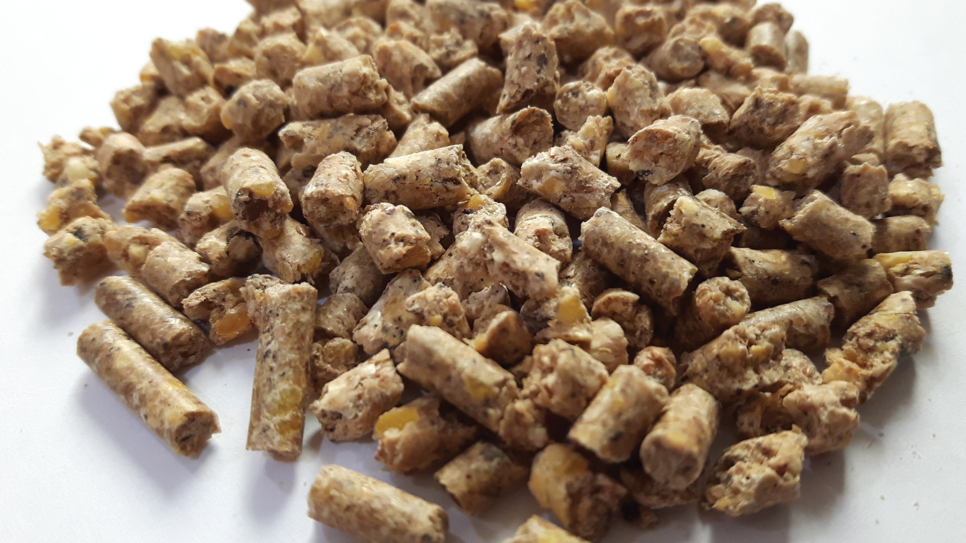 pfas case study 2_food pellets animal feed